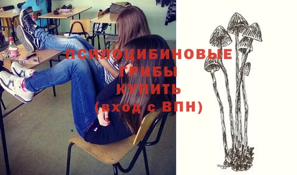 круглые Белокуриха