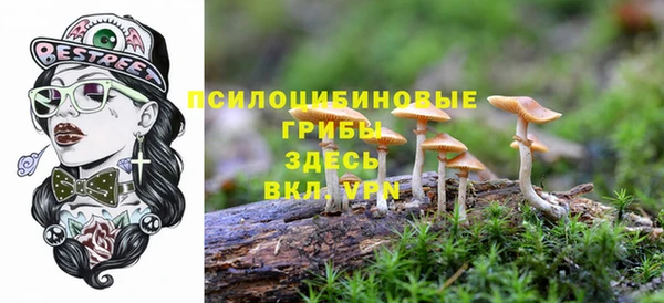 круглые Белокуриха