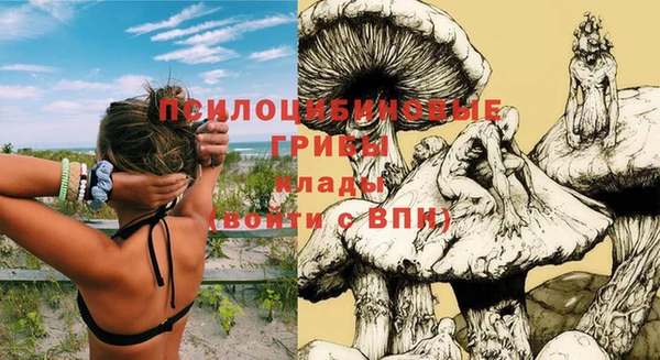 прущие грибы Покровск
