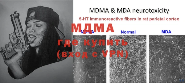 круглые Белокуриха