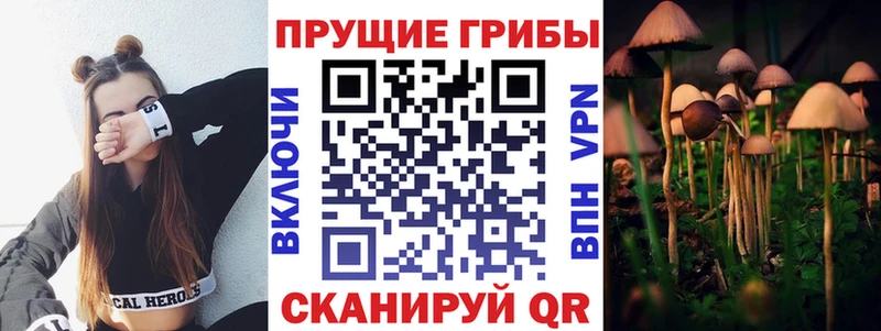 Галлюциногенные грибы мухоморы  где можно купить наркотик  Окуловка 